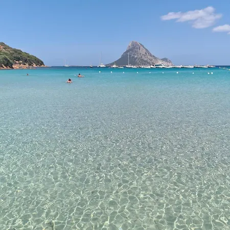 公寓 Relax By The Sea And Rocks! 5-minute Walk To The Sea 奧爾比亞